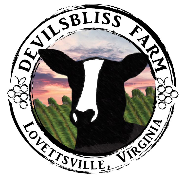 Devilsbliss Farm Wool Home Goods